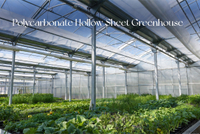 //inrorwxhpjinlp5p.ldycdn.com/cloud/poBpiKnllqSRqlokjlpqip/Modern-Greenhouse-With-Polycarbonate-Roof.jpg